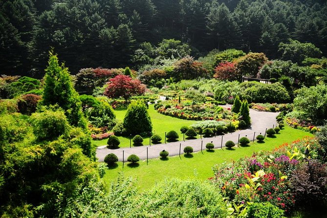 Nami Island& Petite France& Garden of Morning Calm& Italian Village One-Day Tour - Nami Island is the reason to book