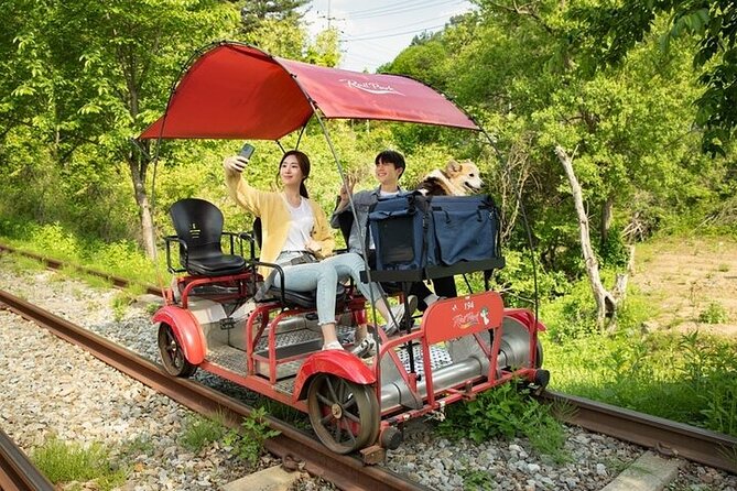 Nami Island & Petite France & Italian Village & Gangchon Rail Bike One-Day Tour - Transport, timing, and the return to Seoul