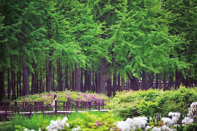 Nami Island & Petite France with Italian Village One-Day Tour - Why this day trip works beyond Seoul