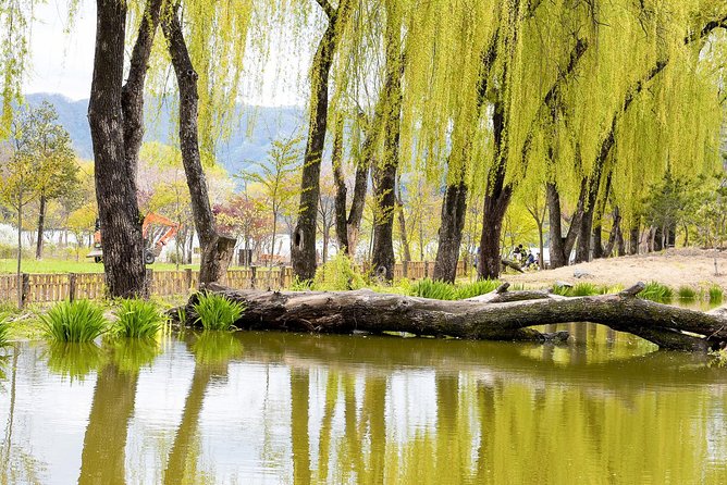 Nami Island & Petite France with Italian Village One-Day Tour - Guides can make the fixed schedule easier