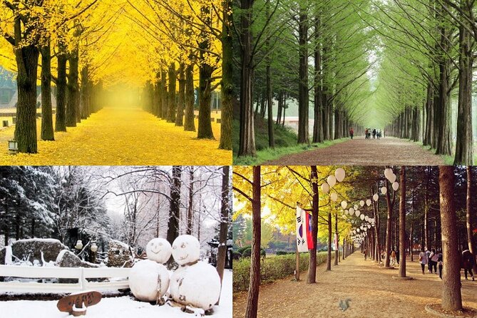 Nami Island & Petite France with Italian Village One-Day Tour - Meeting at Hongik Univ. Station
