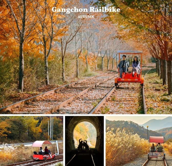 Nami Island, Railbike & Alpaca Garden Day Trip from Seoul - Why this Seoul day trip works well in autumn