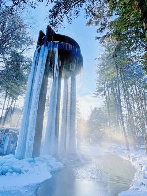 Nami Island, Railbike & Alpaca Garden Day Trip from Seoul - Who will enjoy this tour most