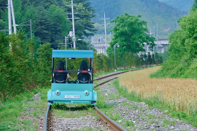 Nami Island Trip with Petite France & Italian Village and Gangchon Rail Bike - Why this Seoul day trip works so well