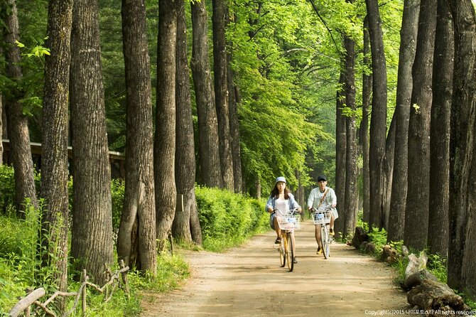 Nami Island Trip with Petite France & Italian Village and Gangchon Rail Bike - Three and a half hours on Nami Island