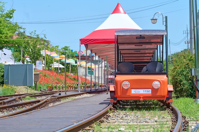 Nami Island Trip with Petite France & Italian Village and Gangchon Rail Bike - Is the $80.95 price good value?