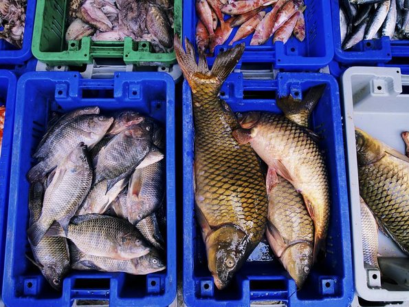 Noryangjin Fish Market Dinner - Key points before you book