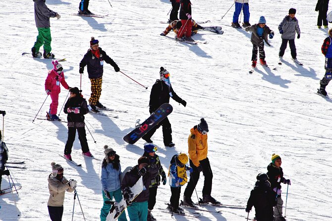 [OFFICIAL] Eden Valley Resort Winter Ski Day Tour from Busan - Should you book the Eden Valley day tour?