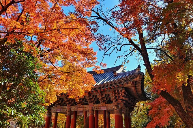 Old Korea Thousand History Tour of Gyeongju from Busan - Starting from Busan and settling into the long day