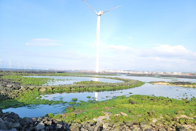 One day private Customized jeju tour - All Area in jeju island - Jusangjeolli turns cooled lava into giant stone columns