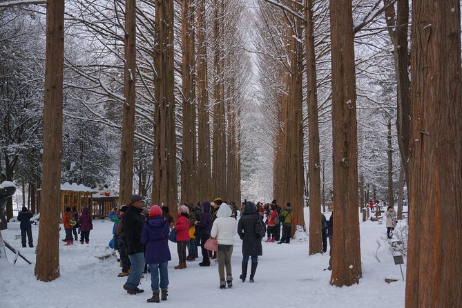 [Perfect Private Tour] Nami island, Petite France and Organic Strawberry Farm - Who should book this day trip?