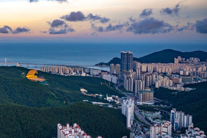 [Photography Tour] Busan Night Tour (Max. 7 Pax) - Songdo Skywalk: photos above the sea