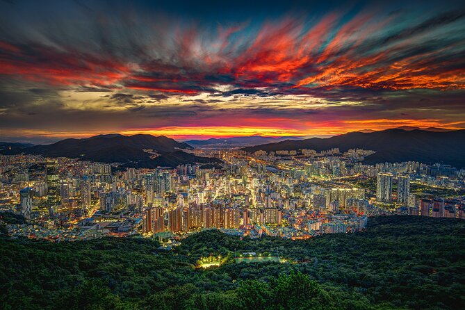 [Photography Tour] Busan Night Tour (Max. 7 Pax) - Gamcheon Culture Village: color and tight lanes