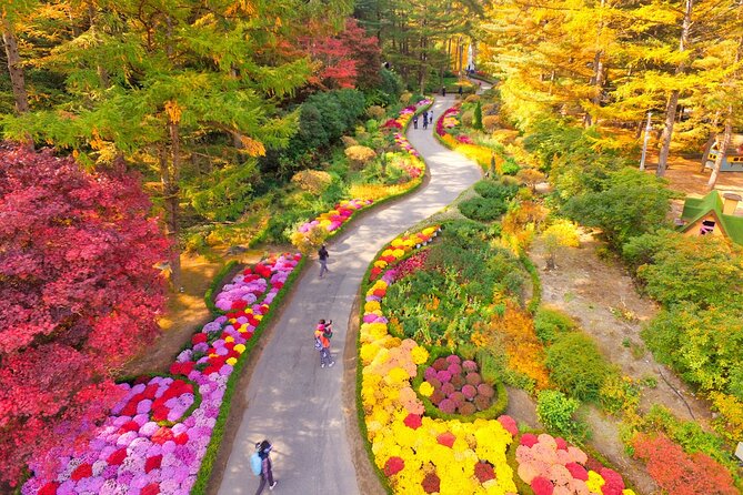 Pocheon Art Valley, Garden & Fruit Picking Day Tour from Seoul - Seasonal fruit picking, with an important orchard detail
