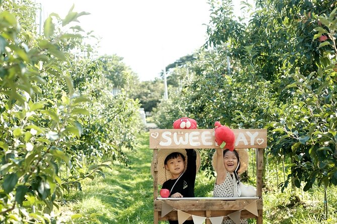 Pocheon Art Valley, Garden & Fruit Picking Day Tour from Seoul - Timing, meals, and what to bring