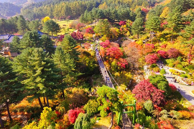 Pocheon Art Valley, Garden & Fruit Picking Day Tour from Seoul - The main strengths and the honest drawbacks