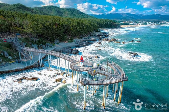Pohang Highlights & Private Tour with a Licensed guide - Reaching Korea’s eastern tip at Homigot
