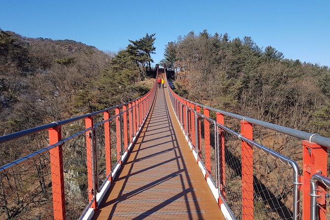 Premium Private DMZ Tour & (Suspension Bridge or N-Tower) include lunch - Imjingak begins the story