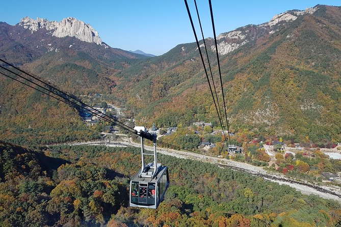 [Premium Private Tour] Mt Seorak & East Sea or Nami island from Seoul - Sinheungsa Temple and Seoraksan’s mountain paths