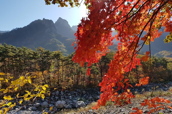 [Premium Private Tour] Mt Seorak & East Sea or Nami island from Seoul - Dongmyeong Port and the East Sea option