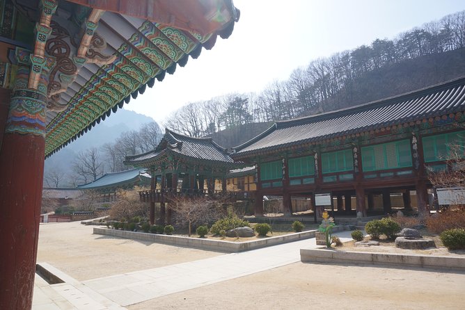 [Premium Private Tour] Mt Seorak & East Sea or Nami island from Seoul - Choosing Nami Island instead of the coast