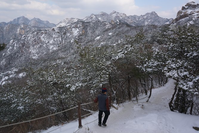 Private Bukhansan Hiking Tour (More Members Less Cost per Person) - What the cancellation terms mean