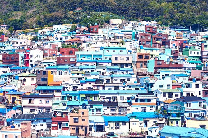 Private Busan Tour with hidden gem of Busan by Local Guide - Busan Tower and Yongdusan Park