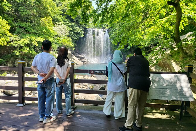 Private Day tour East & south & west of All area in jeju island - One long day from moonlit beaches to volcanic cliffs