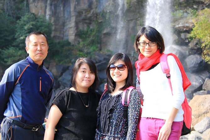 Private Day Tour in South and West in Jeju Island - Why a private taxi makes sense on Jeju