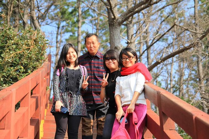 Private Day Tour in South and West in Jeju Island - Oedolgae and the volcanic south coast