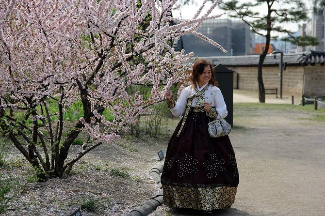 Private day tour Korea(Seoul trip) with Professional Photographer - The DMZ area, Hiry Art Village, and Provence Village