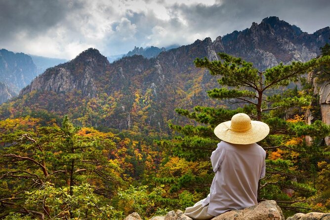 Private Day Trip to Seoraksan National Park - Key points to know before booking