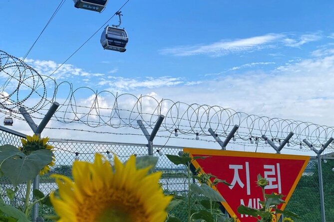 [Private] DMZ & Imjingak Peace Gondola Experience Inter-Korean War - What the Guides Add to the Day
