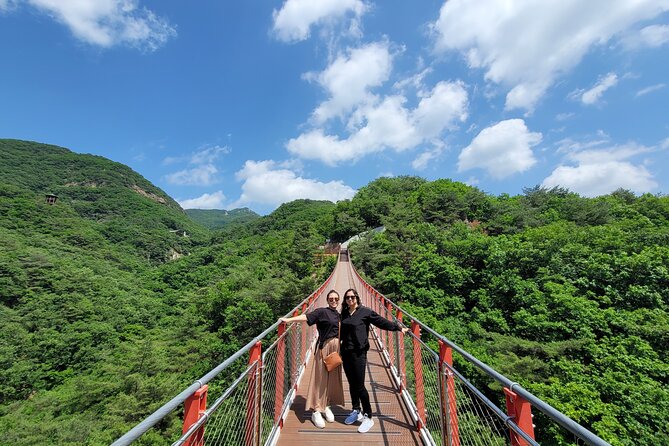 Private DMZ Tour and Suspension Bridge + Korean BBQ - Key points to know before you book