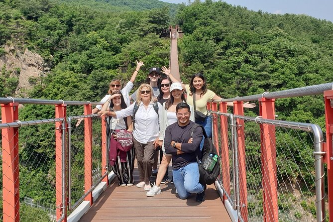 Private DMZ Tour and Suspension Bridge + Korean BBQ - Why this DMZ day trip feels different from standard Seoul sightseeing