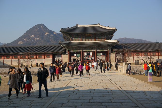 Private English Speaking Driver in Seoul: Airport Service Available - Gangnam, Garosu-gil, and modern Seoul