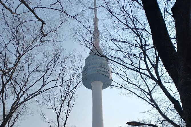 Private Full Day Seoul City Tour and N Tower Cable Car - Namsan Cable Car and the Seoul view