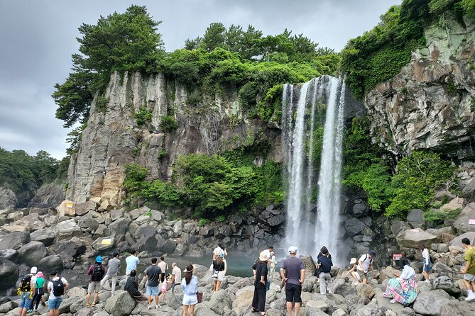 Private Half Day South and West Tour in Jeju Island - O’sulloc Tea Museum and green tea fields