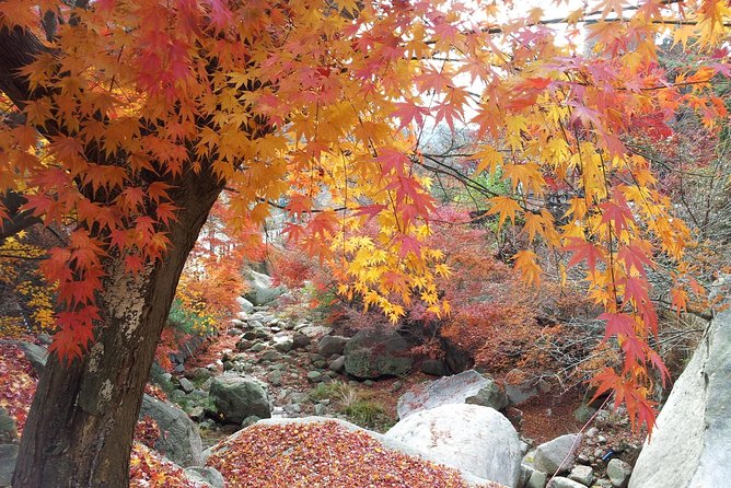 Private Hiking to Bukhansan & Korean Style Spa(Include Lunch) - Korean lunch near Bukhansan