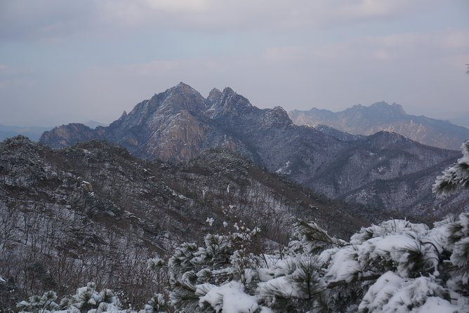 Private Hiking tour to Bukhansan Peak(Baegundae: 836.5m) with Mountain Expert - Hotel pickup starts the day on easy footing