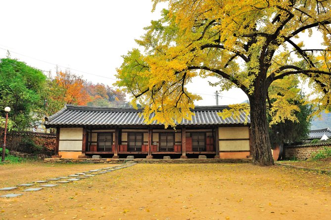 Private Jeonju Hanok Village - Culinary tour - Who should book this Jeonju day trip?