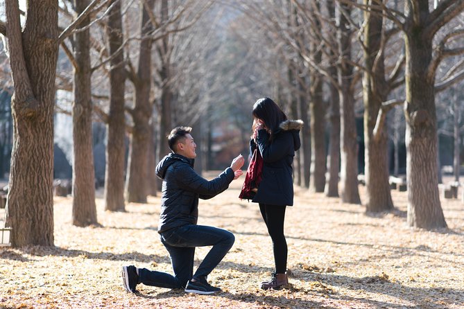 Private Nami Island Photo Shoot and Tour with a Photographer - Why a private photo day changes Nami Island