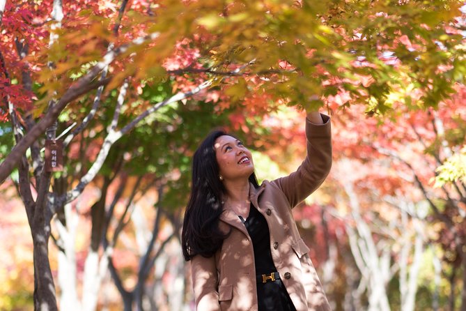 Private Nami Island Photo Shoot and Tour with a Photographer - Is $179 good value for your group?