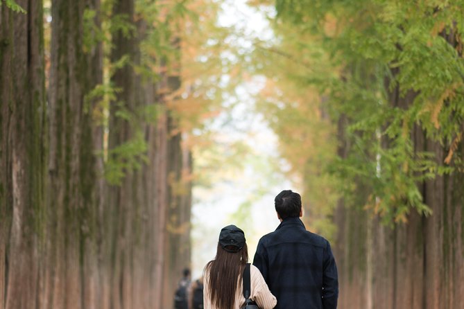 Private Nami Island Photo Shoot and Tour with a Photographer - Hotel pickup makes the long outing easier