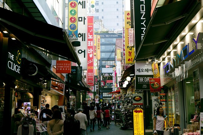 Private Seoul City Tour - What the private vehicle changes