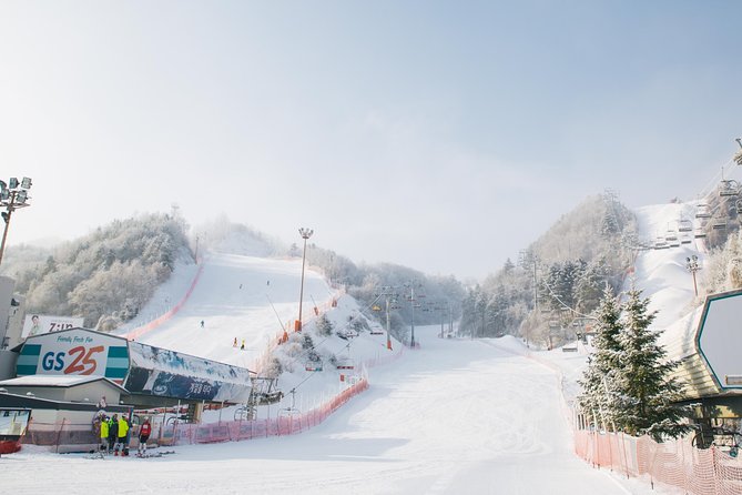 Private Ski Tour(Lesson) near Seoul at Elysian Gangchon Resort - A two-hour lesson with a small group