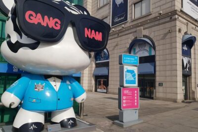 Private Tour: Gangnam Style Tour