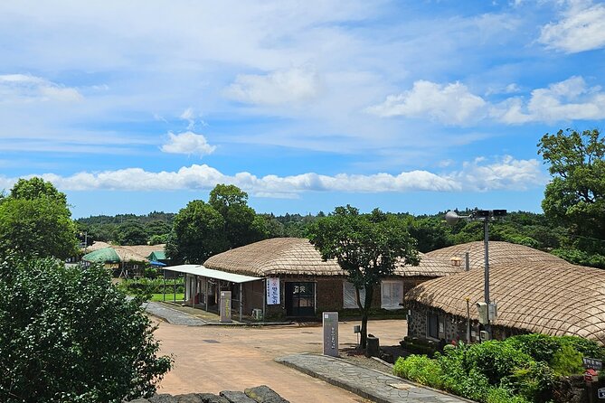 Private Tour in Jeju Island All Inclusive with Lunch - Pace, walking, and who should book