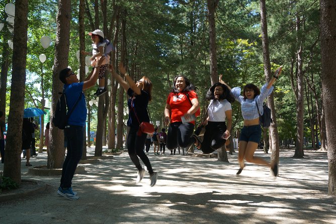 Private Tour: Nami Island& (Alpaca World 'or' Morning Calm)&Lunch - Nami Island: tree-lined roads and open time
