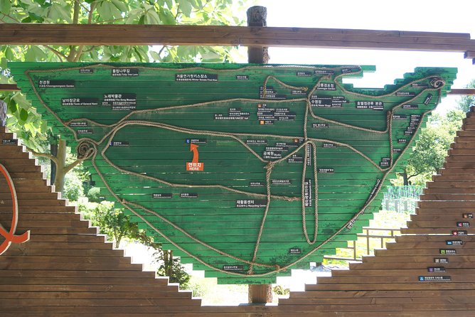 Private Tour: Nami Island& (Alpaca World 'or' Morning Calm)&Lunch - Who should choose this day trip?
